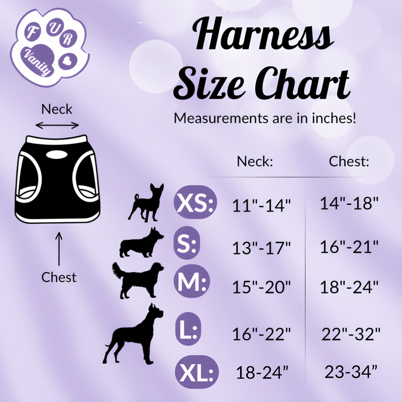 Dog harness - Tarot