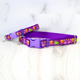 Sun Princess Pet Collar for Dogs & Cats Tangled Pascal Chameleon Rapunzel Heavy-Duty