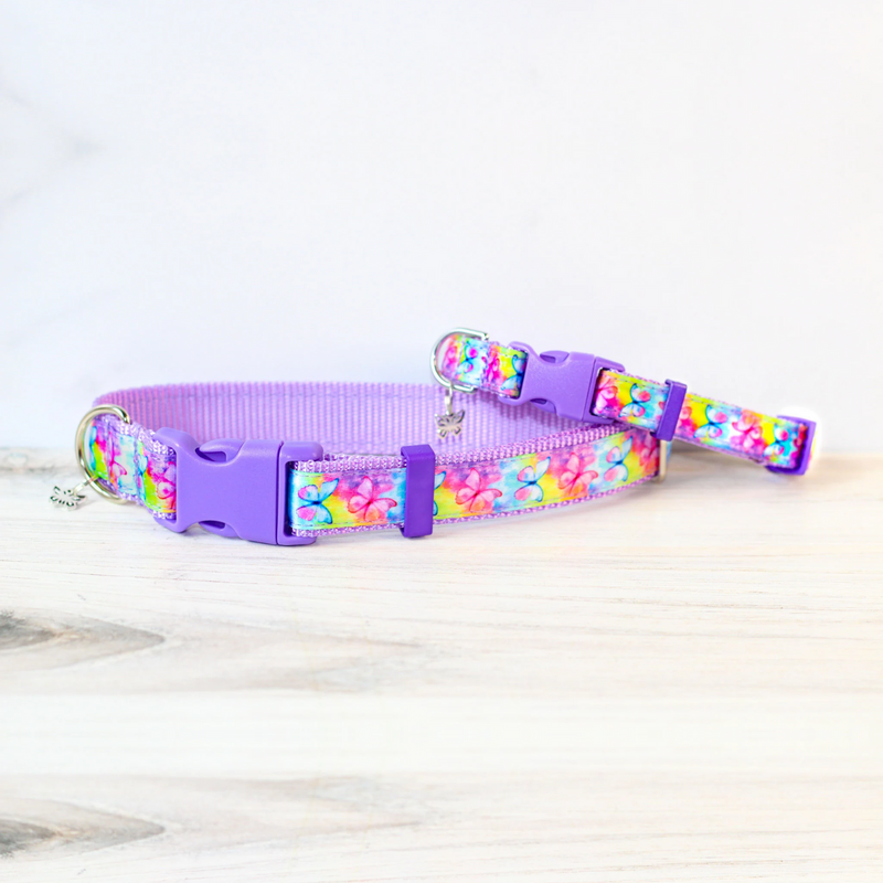 Rainbow Butterfly Collar for Dogs & Cats Purple Rainbow Ombre Spring Summer