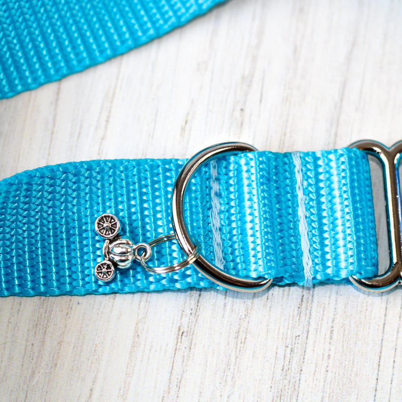 Glass Slipper Princess Pet Leash for Dogs & Cats Heavy-Duty Nylon Blue