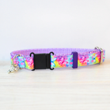 Rainbow Butterfly Collar for Dogs & Cats Purple Rainbow Ombre Spring Summer