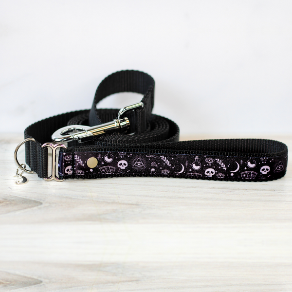 Tarot Card Pet Leash for Dogs & Cats Witchy Skull Moon Goth Halloween Whimsical Gothic Spooky