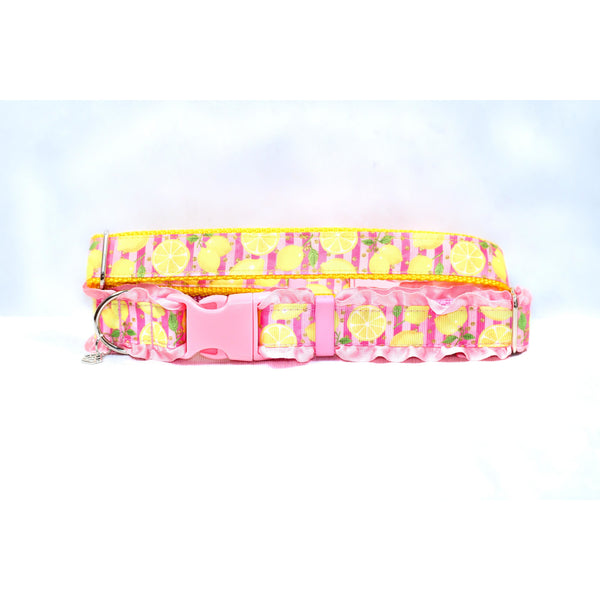 Pink Lemonade Fruity Pet Collar for Dogs & Cats Spring Summer Fruit Heavy-Duty Nylon