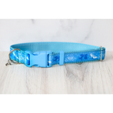 Glass Slipper Princess Pet Collar for Dogs & Cats Cinderella Heavy-Duty Nylon